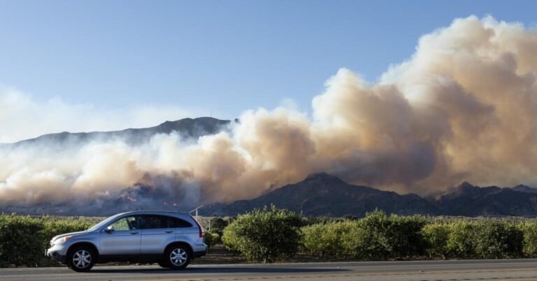 How the Mountain Fire hammered Ventura County farms