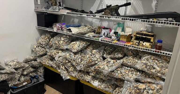 Nearly $3 million in psilocybin mushrooms seized in Riverside County