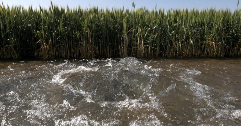 Study finds land sinking at record pace in San Joaquin Valley