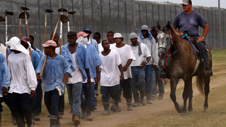 US prisoners part of hidden workforce linked to popular food brands – NBC 5 Dallas-Fort Worth